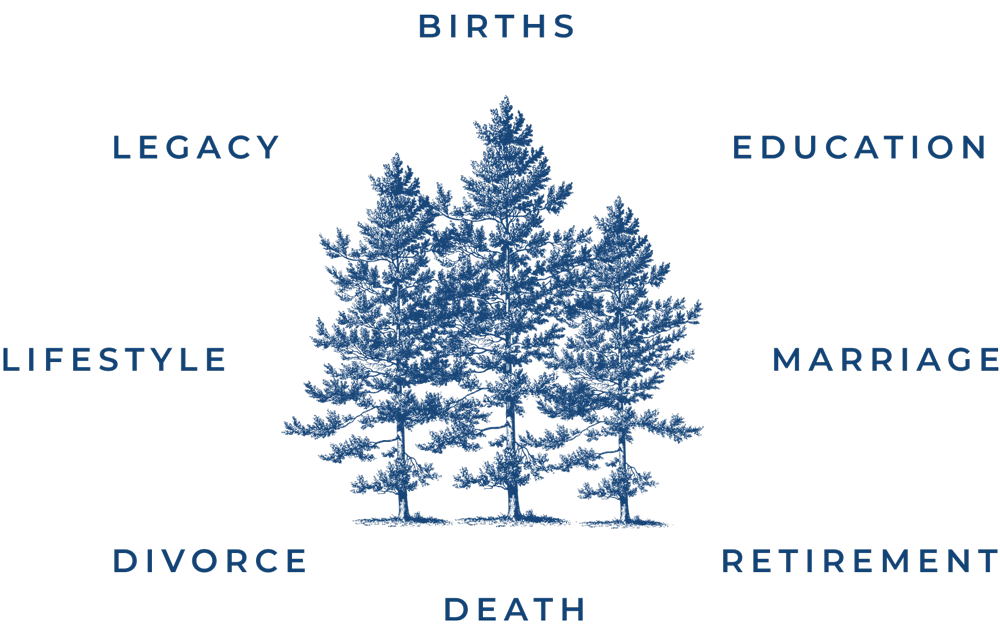 Wealth Planning Diagram